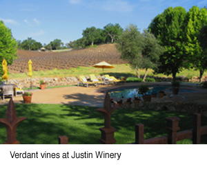 Verdan Vines