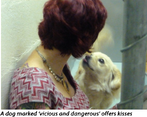 Vicious and Dangerous