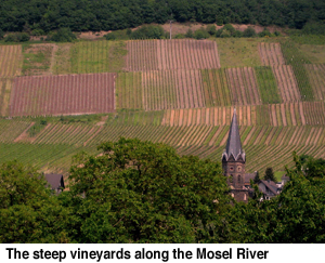 Mosel