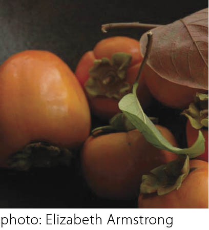 Persimmons