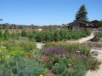 DeLoach lush gardens.JPG