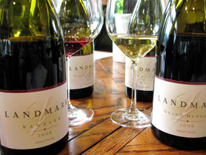 Landmark Vineyard
