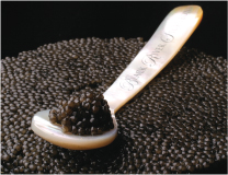 Caviar